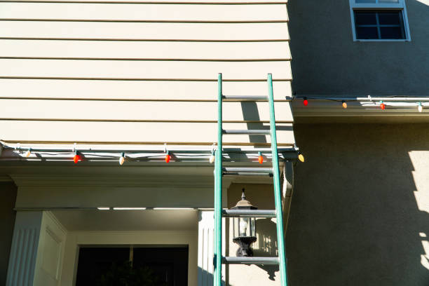 Best Siding Removal and Disposal  in Haslett, MI