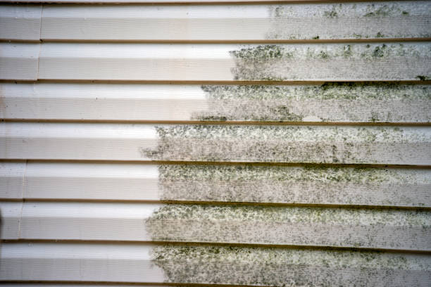 Custom Trim and Detailing for Siding in Haslett, MI