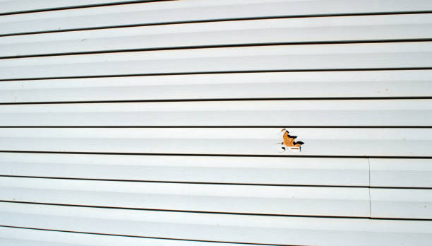 Best Composite Siding  in Haslett, MI