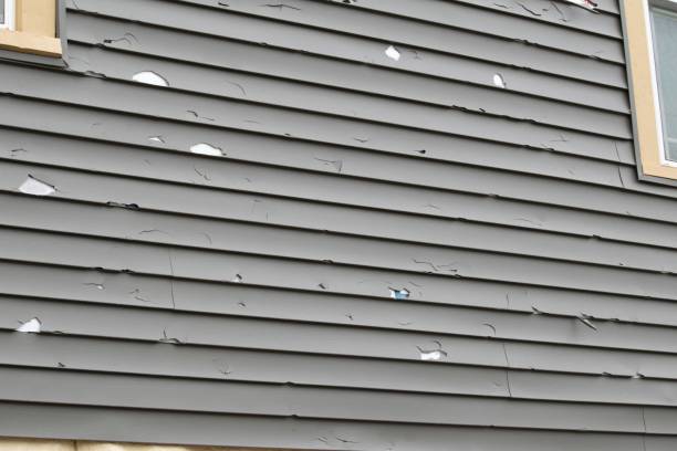 Best Residential Vinyl Siding Installation  in Haslett, MI