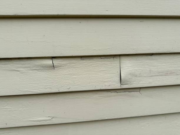 Best Stucco Siding  in Haslett, MI
