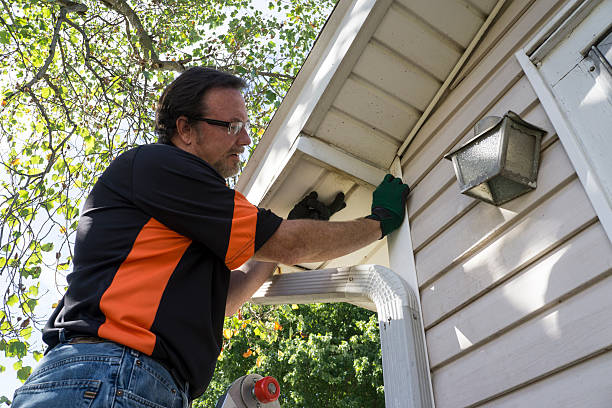 Best Stone Veneer Siding  in Haslett, MI