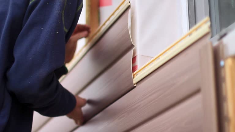 Best Custom Siding Design  in Haslett, MI